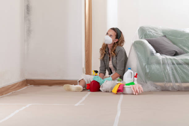 Reliable Mold Inspection And Testing contractor in Maxton, NC by 24 Hour Mold Removal